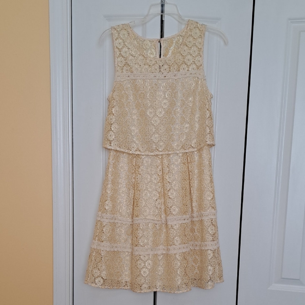 Elegant Cream & Gold Lace Dress